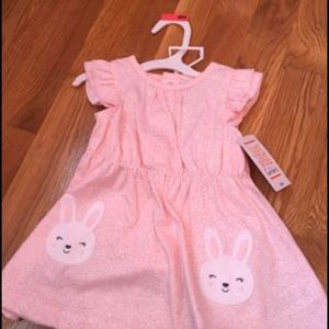 Nwt rabbit dress set . Size 6 months